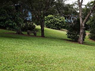 Holiday park Country